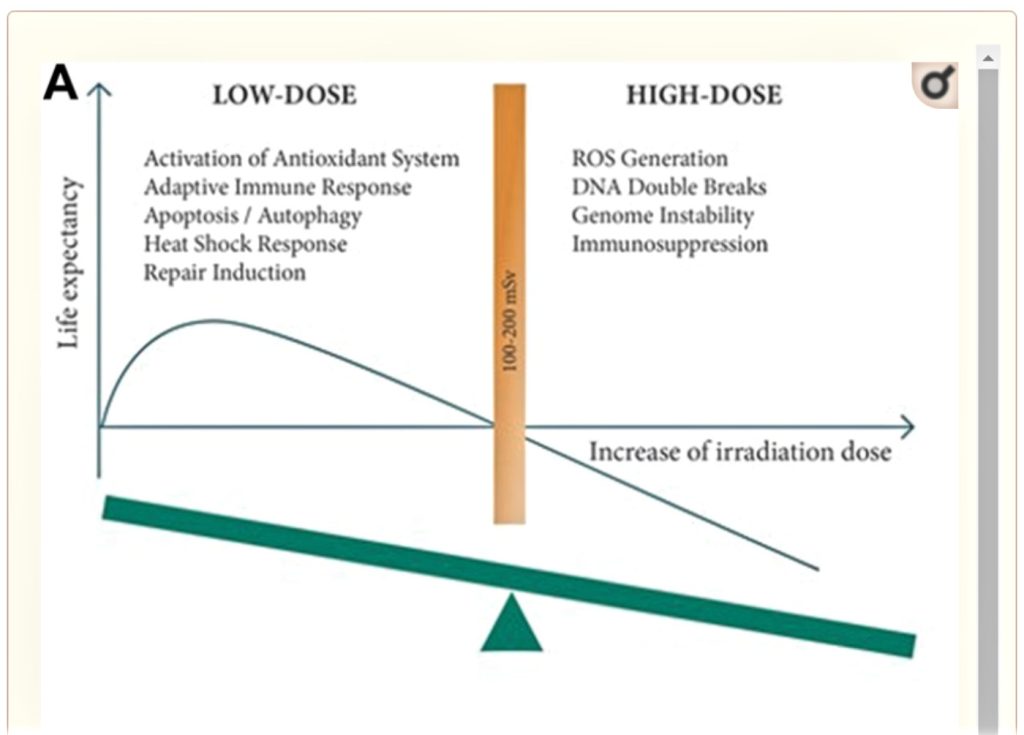 Chart Low Dose vs High Dose